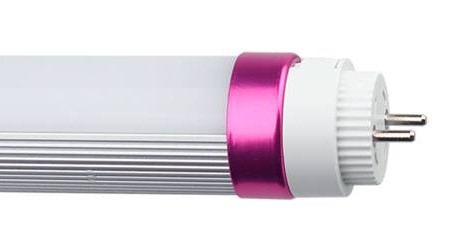 tubo LED t8